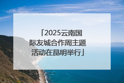 2025云南国际友城合作周主题活动在昆明举行