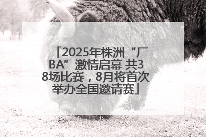 2025年株洲“厂BA”激情启幕 共38场比赛，8月将首次举办全国邀请赛