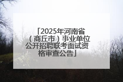 2025年河南省（商丘市）事业单位公开招聘联考面试资格审查公告