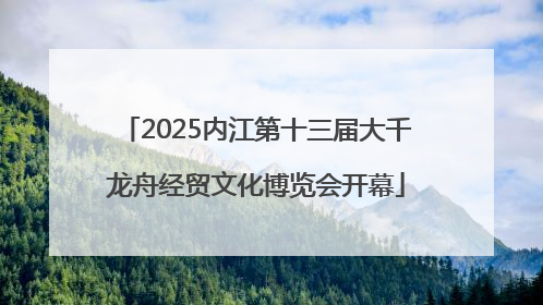 2025内江第十三届大千龙舟经贸文化博览会开幕