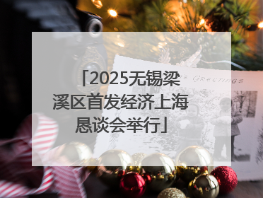 2025无锡梁溪区首发经济上海恳谈会举行