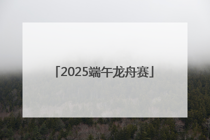 2025端午龙舟赛
