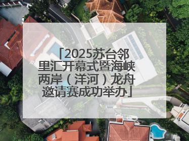 2025苏台邻里汇开幕式暨海峡两岸（洋河）龙舟邀请赛成功举办