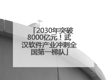 2030年突破8000亿元！武汉软件产业冲刺全国第一梯队