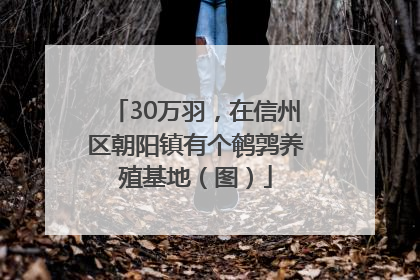 30万羽，在信州区朝阳镇有个鹌鹑养殖基地（图）