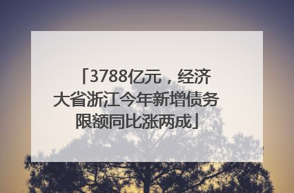 3788亿元，经济大省浙江今年新增债务限额同比涨两成