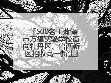 500名！菏泽市万福实验学校面向牡丹区、鲁西新区招收高一新生