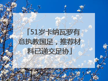 51岁卡纳瓦罗有意执教国足，推荐材料已递交足协