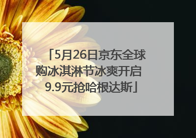 5月26日京东全球购冰淇淋节冰爽开启 9.9元抢哈根达斯