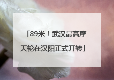89米！武汉最高摩天轮在汉阳正式开转