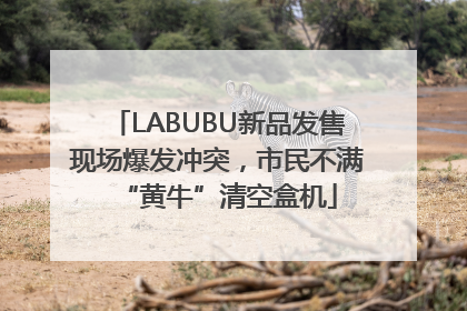 LABUBU新品发售现场爆发冲突，市民不满“黄牛”清空盒机