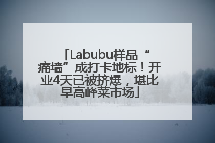 Labubu样品“痛墙”成打卡地标！开业4天已被挤爆，堪比早高峰菜市场